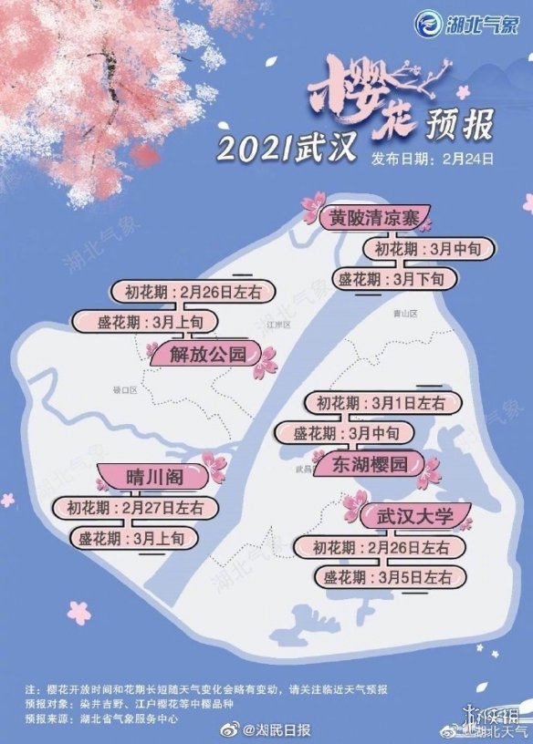 2021武汉樱花花期是什么时候？2021武汉樱花赏花时间图片2