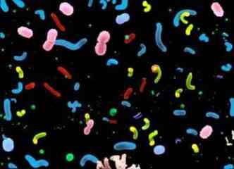 微生物：海洋中数量最多的生物