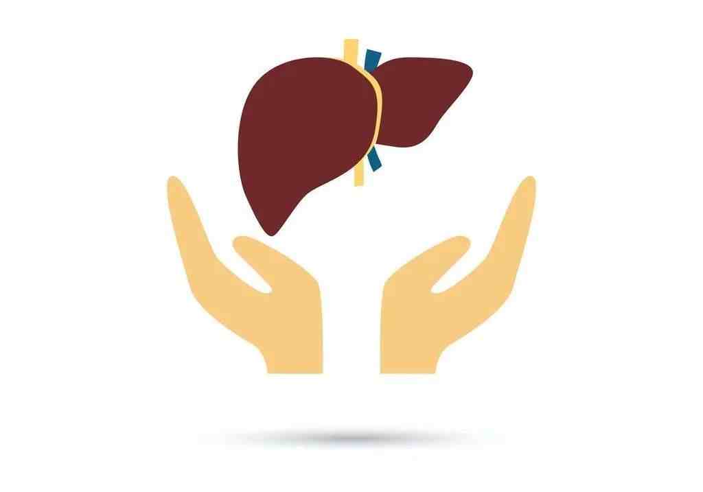 护肝片真的能够保护肝脏？小心越吃越伤感