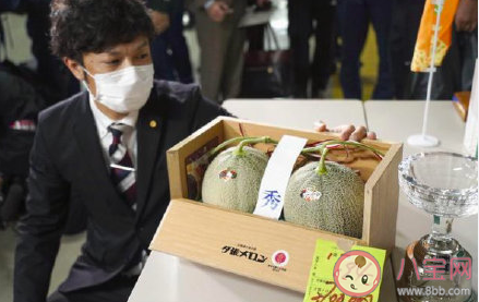 日本两个蜜瓜拍出16万是什么情况 夕张蜜瓜为什么卖这么贵