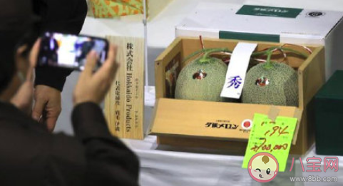 日本两个蜜瓜拍出16万 蜜瓜有哪些营养价值