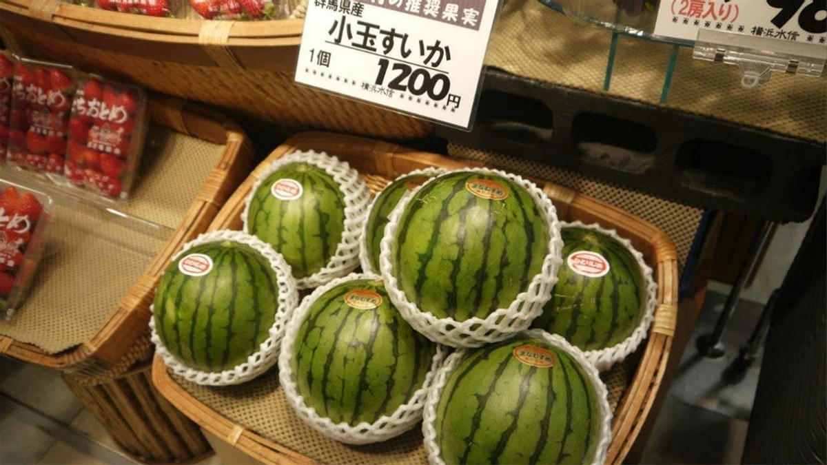 一个西瓜75万日元，日本水果那么贵，他们为啥不从外国进口？
