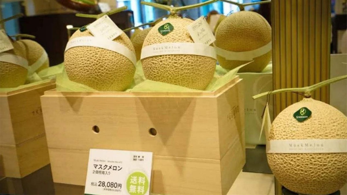 一个西瓜75万日元，日本水果那么贵，他们为啥不从外国进口？