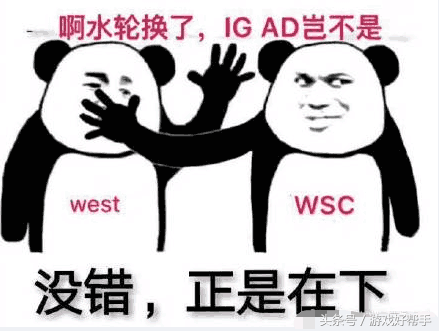 WSC是什么意思(wsc是什么比赛)